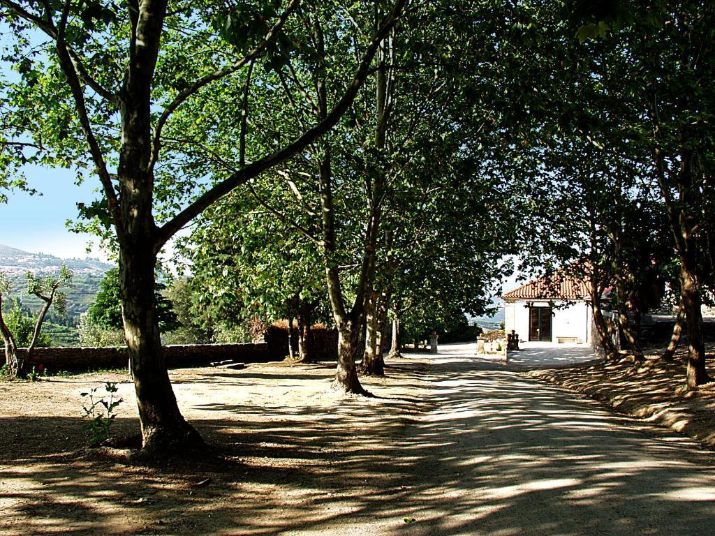 Casa De Vilarinho De S. Romao Sabrosa Luaran gambar